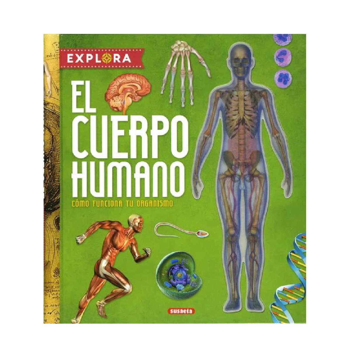 Explora el cuerpo humano | Todolibro | Toys"R"Us España