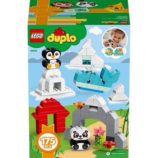 LEGO Duplo - Animales Creativos - 10934 | Duplo Piezas y Planchas |  Toys"R"Us España